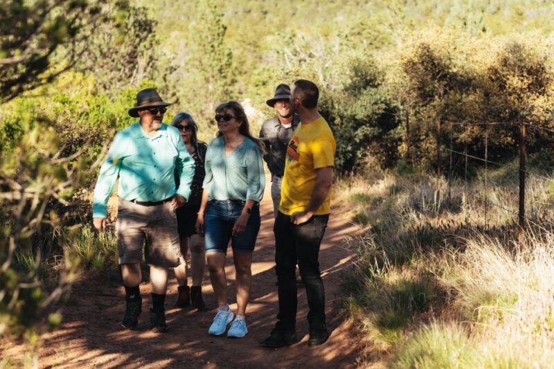 From Sedona: Private Red Rock West Jeep Tour - What to Expect from the Sedona Red Rock Jeep Tour