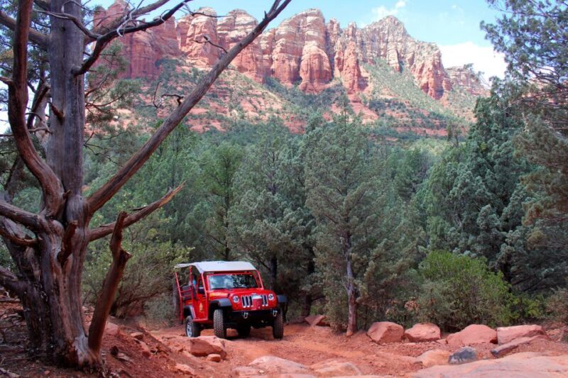 From Sedona: Red Rock West Private Jeep Tour - Introduction: A Closer Look at the Red Rock West Jeep Tour