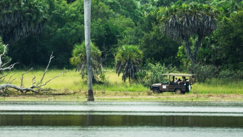 From Selous Game Reserve: Rufiji River Wildlife Boat Safari - Key Points