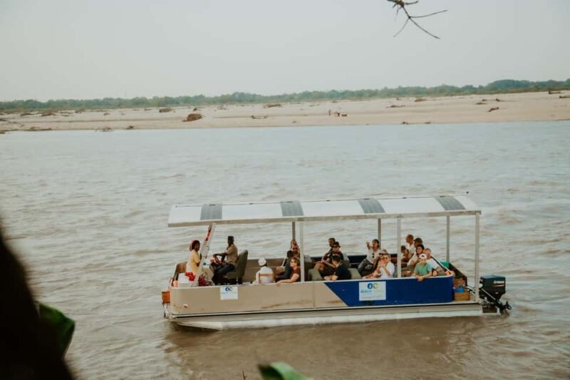From Selous Game Reserve: Rufiji River Wildlife Boat Safari - A Detailed Look at the Rufiji River Wildlife Boat Safari