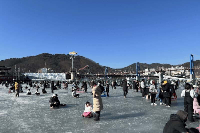From Seoul: 2026 Hwacheon Sancheoneo Ice Festival Day Tour - How the Tour Is Organized and Why It Matters