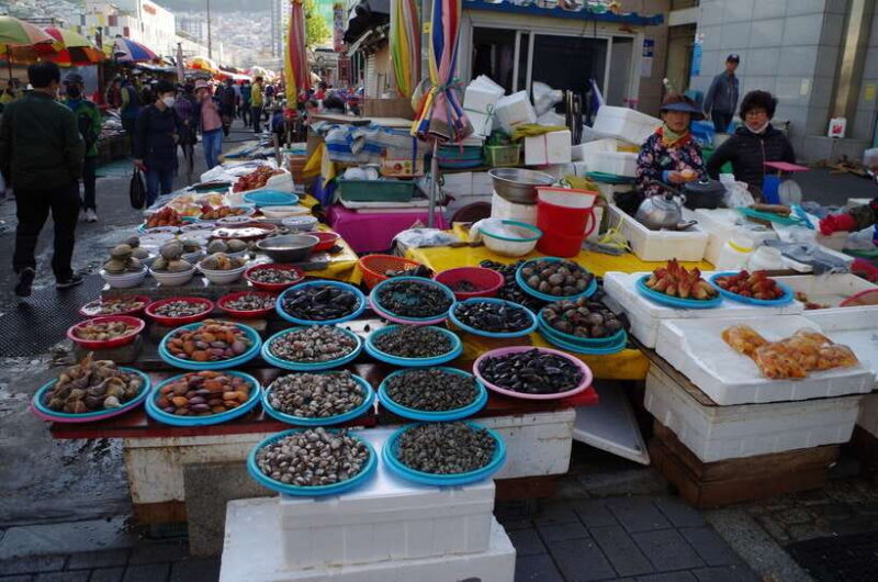 From Seoul: 5-Day Tour of Korea with UNESCO Sites - Who Will Love This Tour?