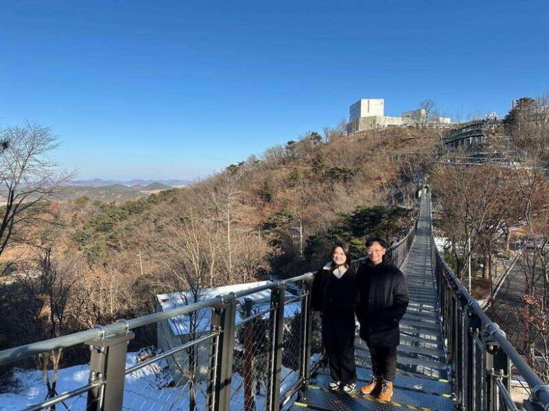 From Seoul: Aegibong Starbucks Observatory & DMZ View - Practical Aspects and Logistics