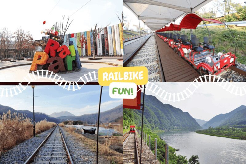From Seoul: Alpaca Farm with Rail bike/ Luge Racing - The Experience of Traveling with a Guide