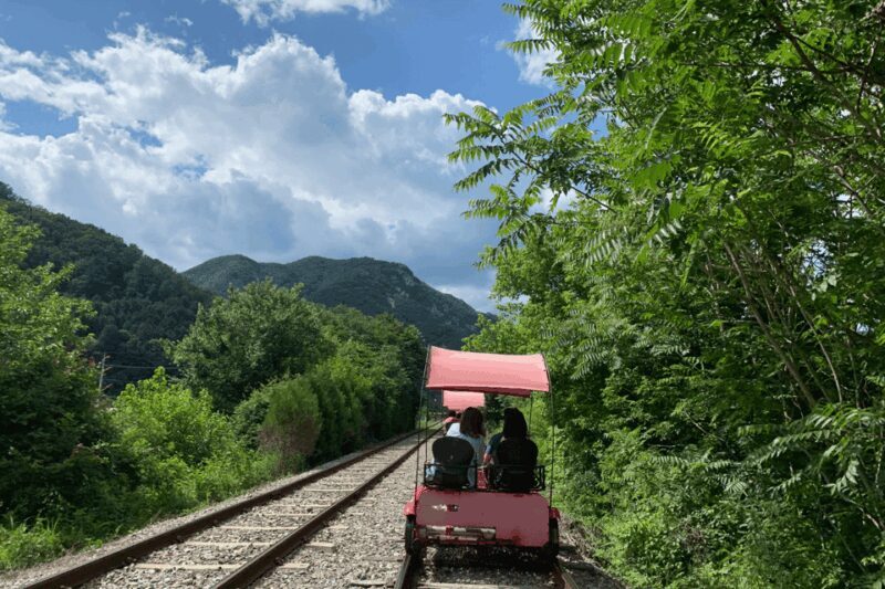 From Seoul: Alpaca Farm with Rail bike/ Luge Racing - Summary: Who Is This Tour Best For?