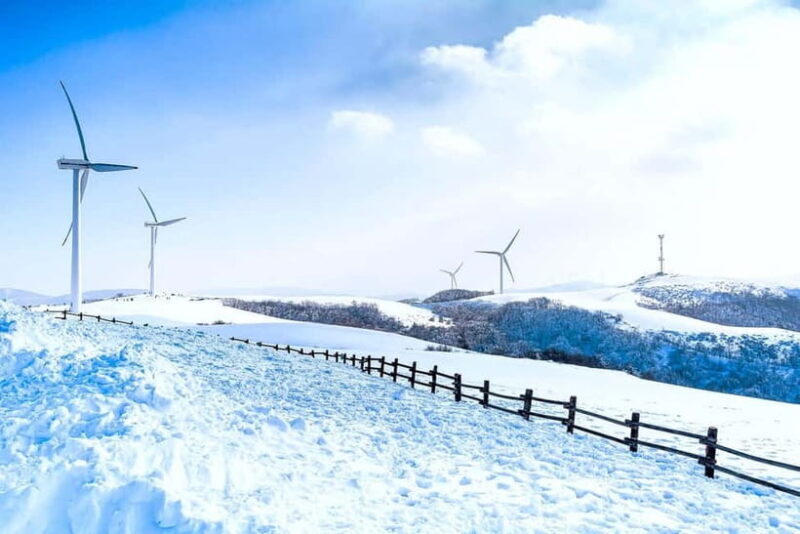From Seoul: Balwangsan Cable Car and Daegwallyeong Ranch - From Seoul: Balwangsan Cable Car and Daegwallyeong Ranch — a detailed review