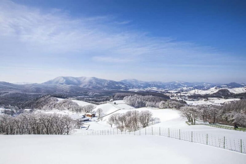From Seoul: Balwangsan Cable Car and Daegwallyeong Ranch - Key Points