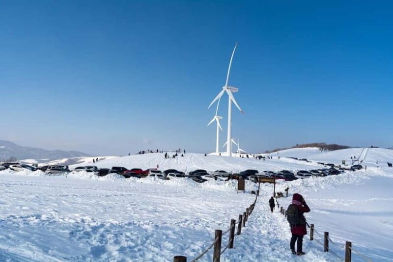 From Seoul: Balwangsan Cable Car and Daegwallyeong Ranch - FAQ