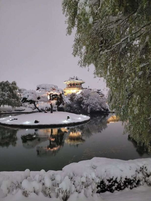 From Seoul: Evening Tour to UNESCO Suwon Hwaseong Fortress - Introduction