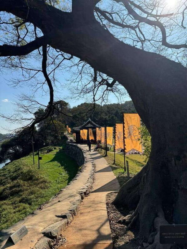 From Seoul: Gongju and Buyeo 2-Day Tour with Accommodation - Who Will Love This Tour