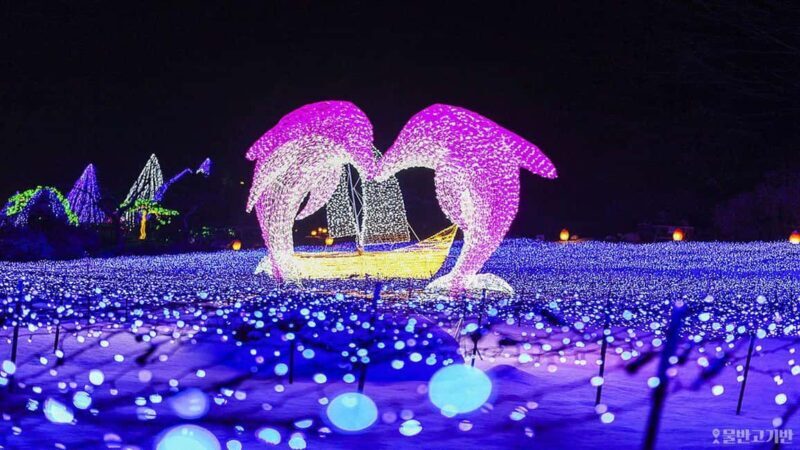 From Seoul: Hwacheon Ice Fishing and Lighting Festival Tour - Key Points