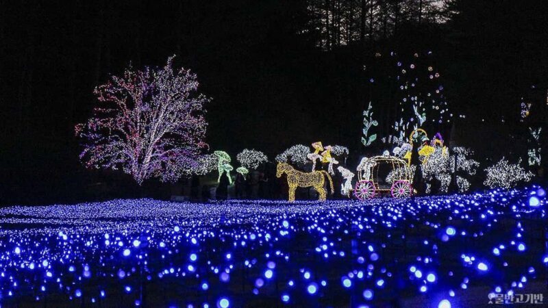 From Seoul: Hwacheon Ice Fishing and Lighting Festival Tour - An Introduction to a Winter Wonderland Tour