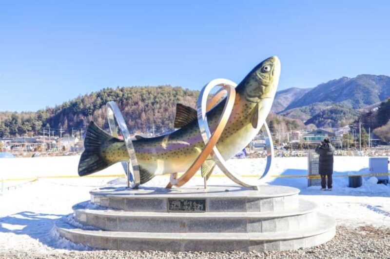 From Seoul: Hwacheon Ice Fishing and Lighting Festival Tour - Practical Considerations and Value