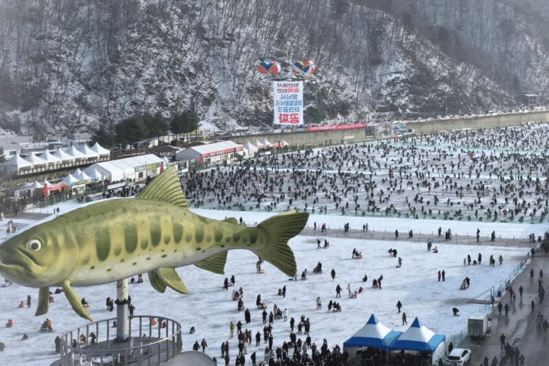 From Seoul: Hwacheon Ice Fishing and Lighting Festival Tour - Who Will Love This Tour?