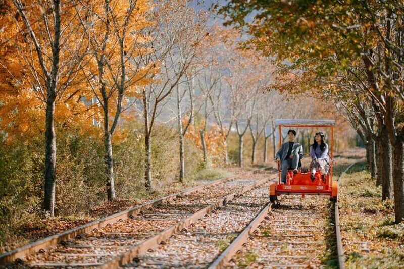 From Seoul: Nami Island, Korean Garden & Rail Bike Day Trip - The Value of the Tour