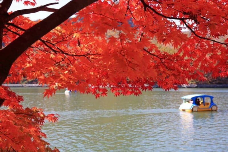 From Seoul: Pocheon, Sanjung Lake and Bidulginang Fall Trip - What the Tour Includes and Excludes