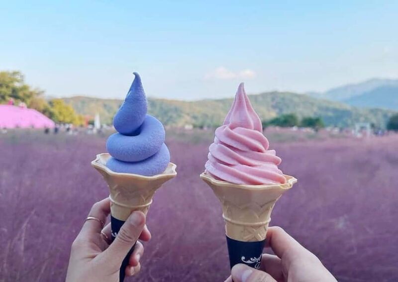 From Seoul: Pocheon, Sanjung Lake and Bidulginang Fall Trip - Final Thoughts on Value and Suitability
