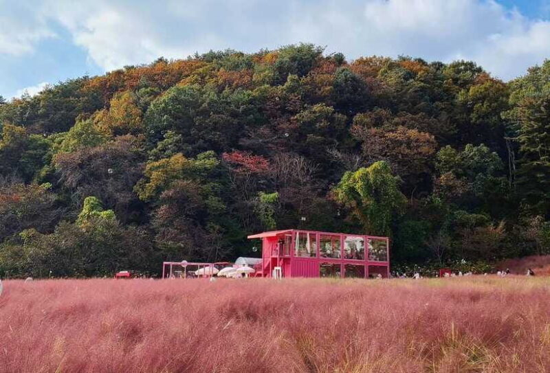 From Seoul: Pocheon, Sanjung Lake and Bidulginang Fall Trip - Who Is This Tour Best For?