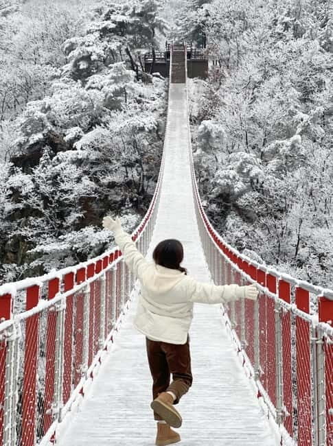 From Seoul: Romantic Winter Wonderland Tour - Key Points