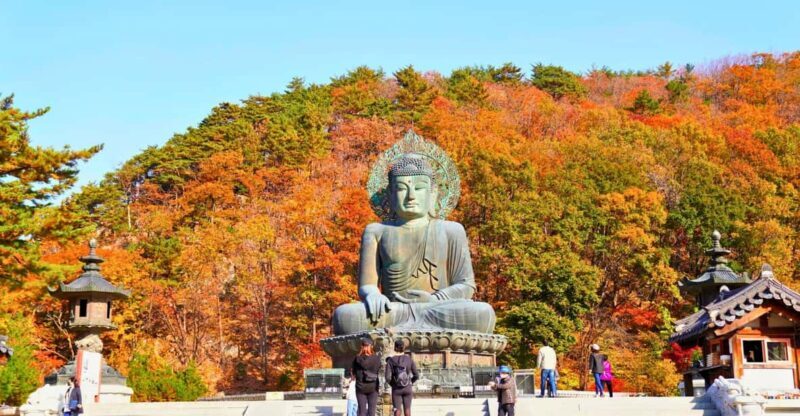 From Seoul: Seoraksan Mountain with Cable Car- Shuttle Bus - Introduction