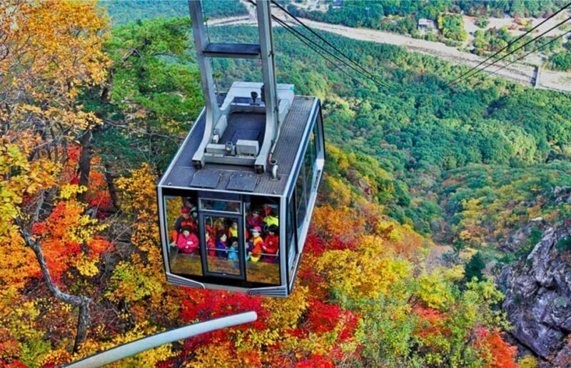 From Seoul: Seoraksan Mountain with Cable Car- Shuttle Bus - Practical Details and Considerations