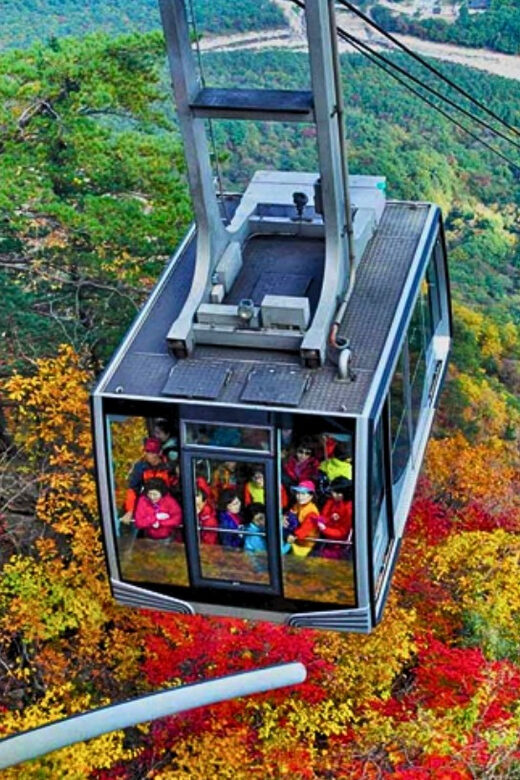 From Seoul: Seoraksan Mountain with Cable Car- Shuttle Bus - Authentic Perspectives from Reviewers