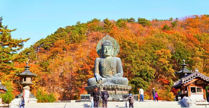 From Seoul: Seoraksan Mountain with Cable Car- Shuttle Bus - The Sum Up