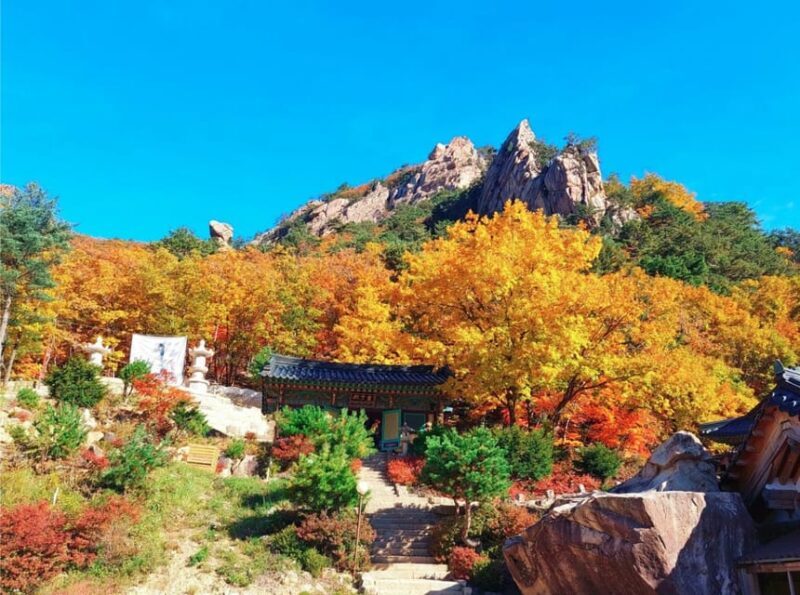 From Seoul: Seoraksan Mountain with Cable Car- Shuttle Bus - FAQ