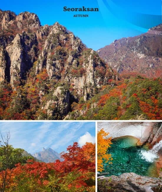From Seoul: Seoraksan National Park and Nami Island Day Trip - What’s Included and What’s Not