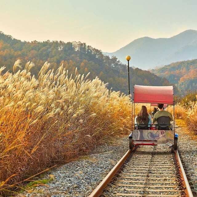 From Seoul: Seoraksan National Park and Nami Island Day Trip - Who Would Love This Tour?