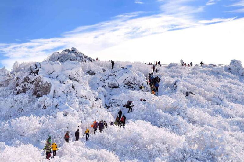 From Seoul: Snow-Capped Beauty of Deogyusan National Park - An In-Depth Look at the Tour Experience
