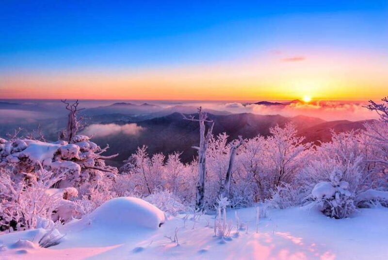 From Seoul: Snow-Capped Beauty of Deogyusan National Park - Who Will Love This Tour?