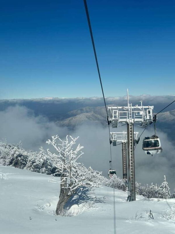 From Seoul: Snow-Capped Beauty of Deogyusan National Park - Final Thoughts
