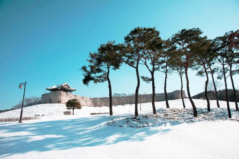 From Seoul: Suwon Hwaseong and Deogyusan Winter Tour - An In-Depth Look at the Tour Experience