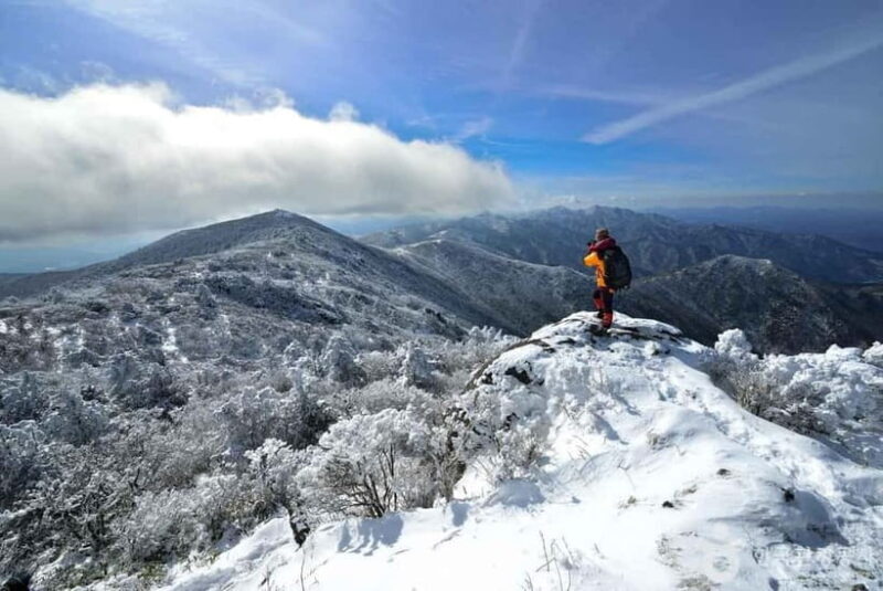 From Seoul: Suwon Hwaseong and Deogyusan Winter Tour - Final Thoughts