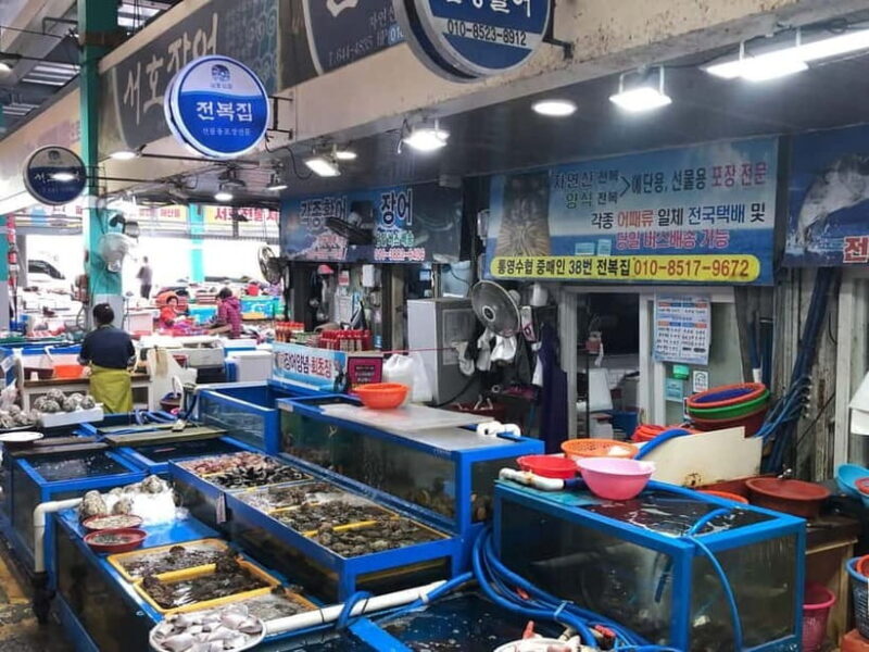 From Seoul: Tongyeong Anchovy 2 day Tour - Key Points