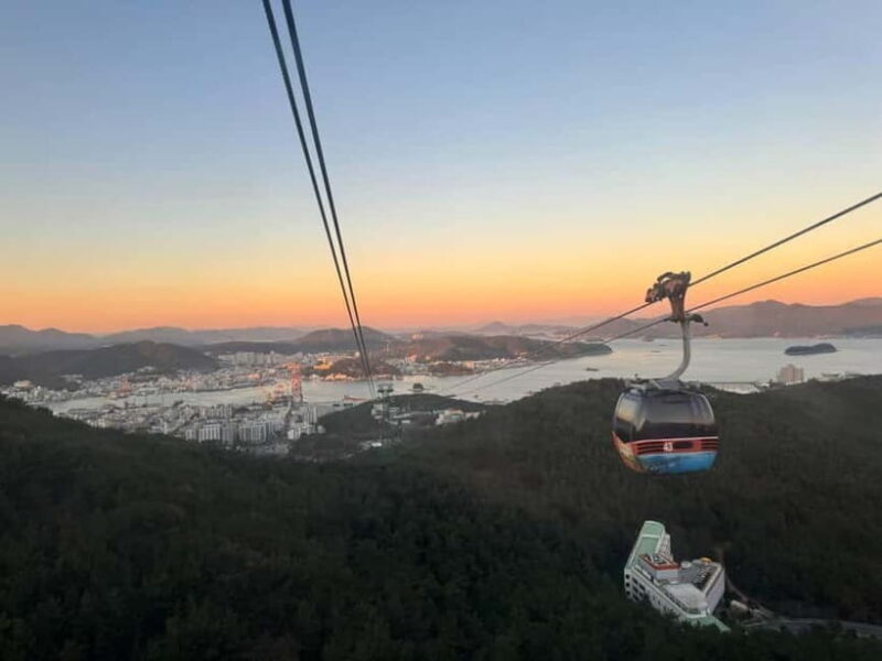 From Seoul: Tongyeong Anchovy 2 day Tour - Who Will Love This Tour?