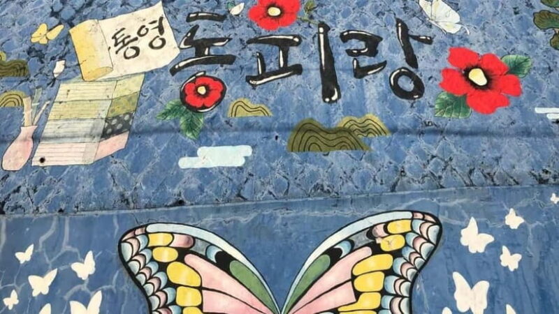 From Seoul: Tongyeong Anchovy 2 day Tour - The Sum Up