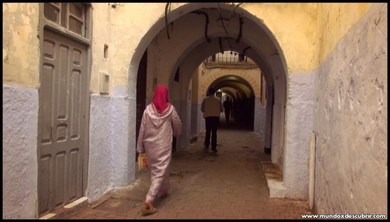From Seville: Full-Day Tour to Tangier - Final Thoughts