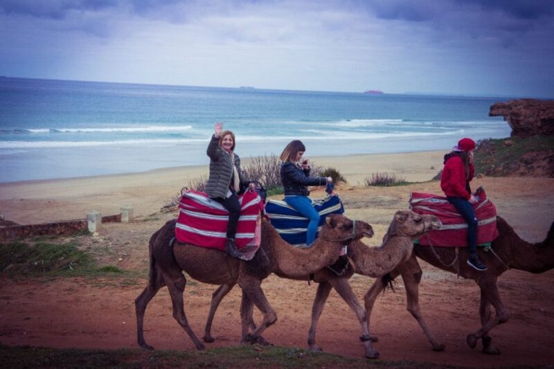 From Seville: Tangier Day Trip with Local Guide and Lunch - Key Points