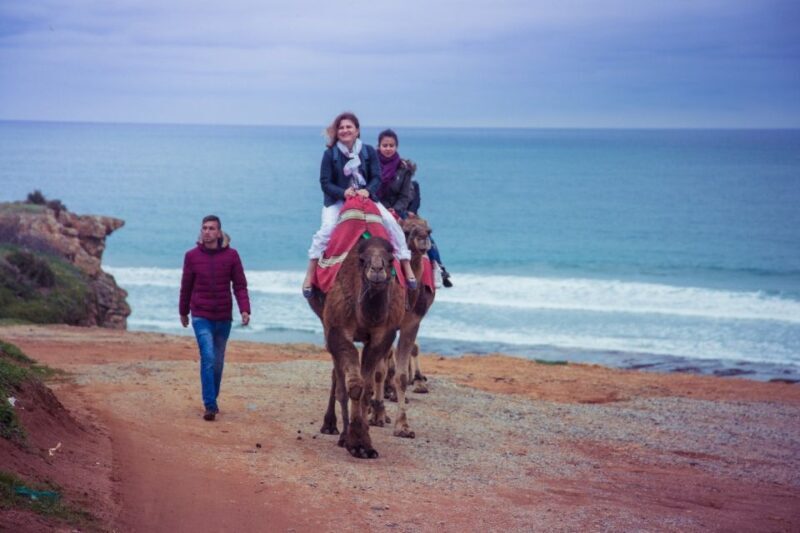 From Seville: Tangier Day Trip with Local Guide and Lunch - A Closer Look at the Experience