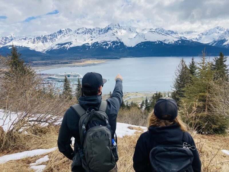 From Seward: 6-hour Wilderness Hiking Tour - An In-Depth Look at the Seward Wilderness Hiking Tour