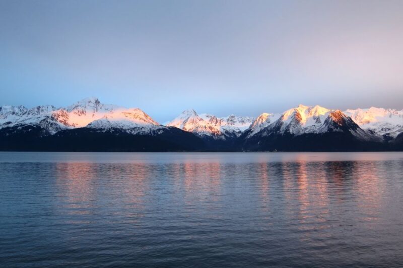 From Seward: Half-Day Resurrection Bay Wildlife Cruise Tour - The Experience in Detail: What to Expect