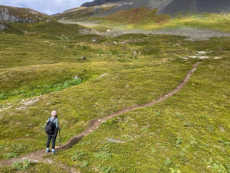 From Seward: Harding Icefield Trail Hiking Tour - Key Points