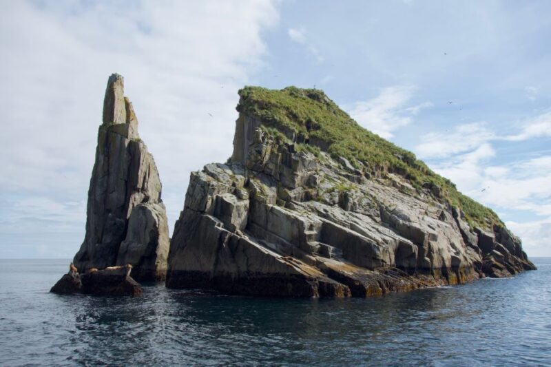 From Seward: Kenai Fjords National Park Cruise with Lunch - FAQs
