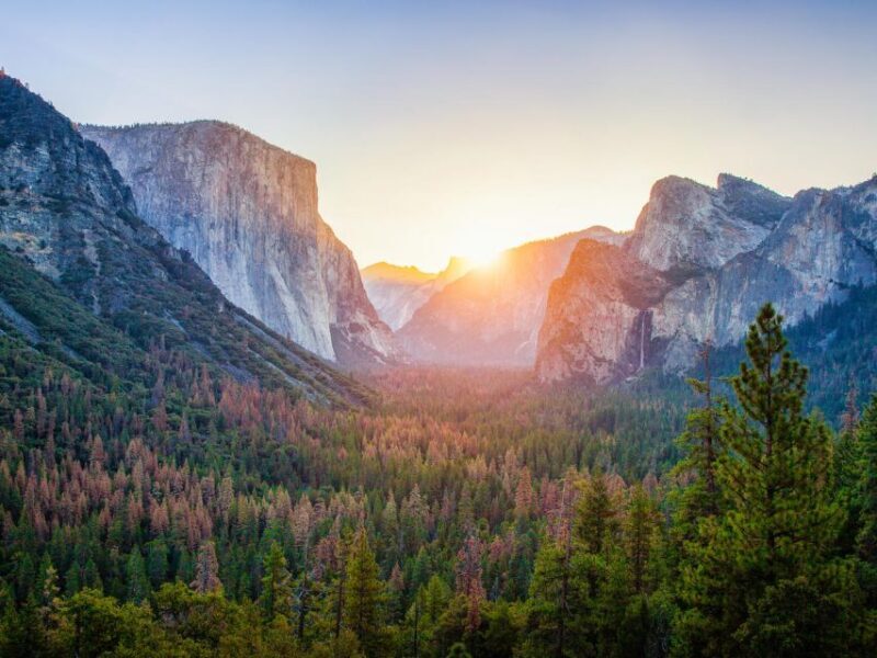 From SFO-Yosemite National Park-Enchanting Full Day Tour - A Closer Look at the Itinerary and Experience