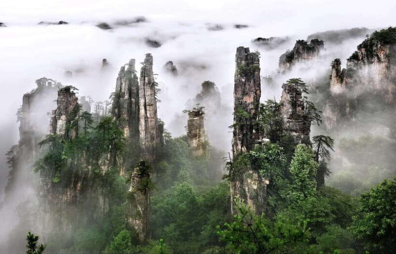 From Shanghai: 10-Day Tour to Chongqing, Zhangjiajie & More - Detailed Review: What to Expect from This 10-Day China Adventure