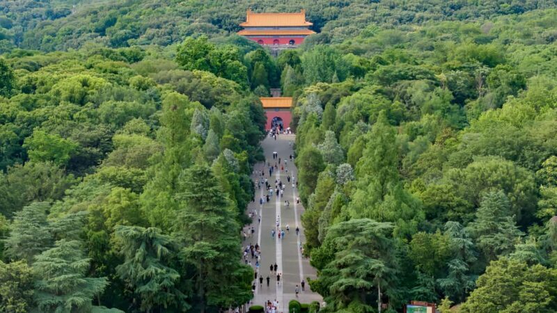 From Shanghai: Nanjing Private Day Trip by High-Speed Rail - Final Thoughts