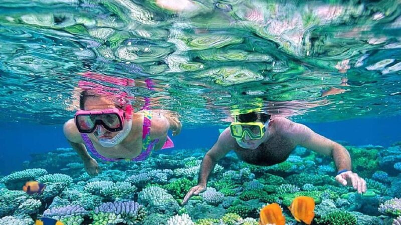 From Sharm El Sheikh: Snorkeling Tour to Ras Mohamed by Bus - An In-Depth Look at the Snorkeling Tour to Ras Mohamed