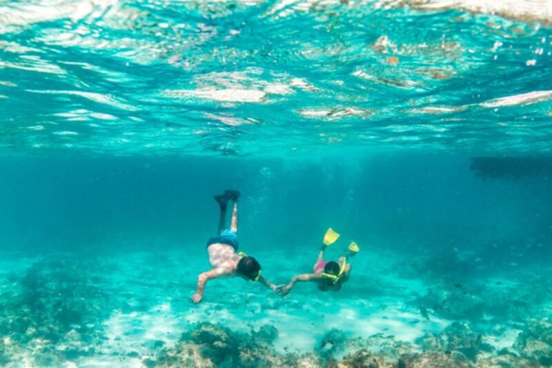 From Sharm El Sheikh: Snorkeling Tour to Ras Mohamed by Bus - The Sum Up